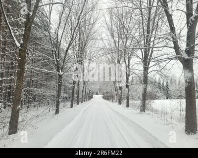 Ein malerischer Pfad schlängelt sich durch einen unberührten Winterwald, der mit einer Schicht frisch gefallenen Schnees bedeckt ist Stockfoto