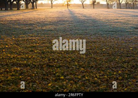 In Ilford im Osten Londons ist morgens ein Park mit Herbstfarbe teilweise frostig zu sehen. Stockfoto