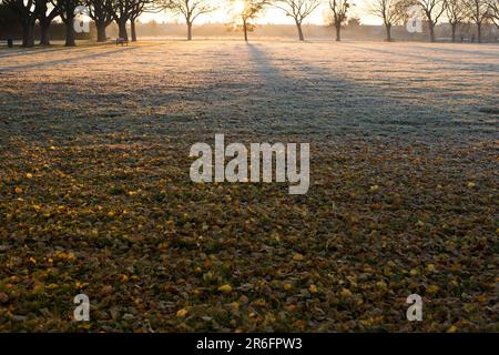 In Ilford im Osten Londons ist morgens ein Park mit Herbstfarbe teilweise frostig zu sehen. Stockfoto