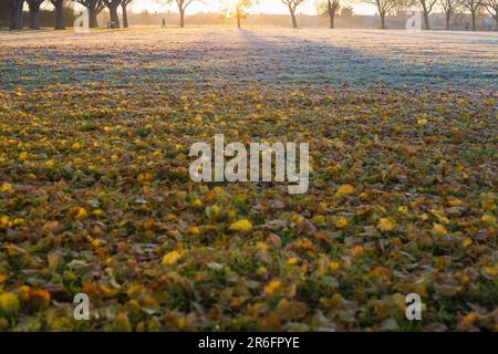 In Ilford im Osten Londons ist morgens ein Park mit Herbstfarbe teilweise frostig zu sehen. Stockfoto