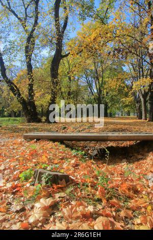 Das Foto wurde in der ukrainischen Stadt Odessa aufgenommen. Das Bild zeigt einen sonnigen Herbsttag im alten Park namens Dyukovsky-Garten. Stockfoto