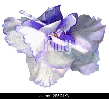 Wellige violette Blume. Die Zeichnung wird mit Markern auf Papier erstellt. Blumenkollektion. Stockfoto