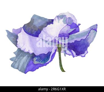 Wellige violette Blume. Die Zeichnung wird mit Markern auf Papier erstellt. Blumenkollektion. Stockfoto