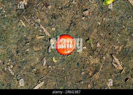 Bierflaschendeckel mit der Inschrift Salud halb begraben in der Erde mit kleinen Holzstücken, rund, rot, sonniger Tag in der Natur Stockfoto