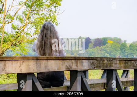 Reife Frau mit langen, grauen Haaren, die mit dem Rücken zur Kamera auf einer Holzbrücke steht, Bäume mit nebligen Hintergrund, weiße Bluse, sonniger Frühlingstag in Nat Stockfoto