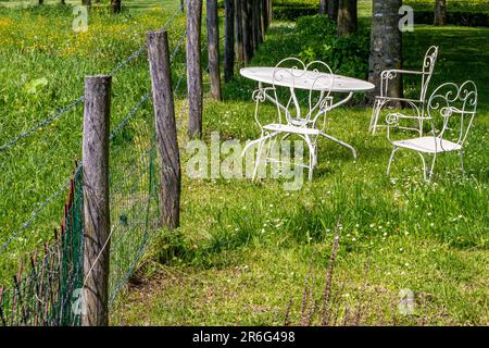 Tisch und drei Metallstühle auf grünem Gras neben einem Zaun aus Holzpfosten und Stacheldraht im Garten eines Bauernhauses, sonniger Frühlingstag im Nether Stockfoto