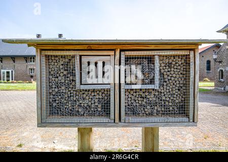 Neues Insektenhotel mit Abteilen, kleinen Stöcken mit Löchern, Baumstämmen und Pinienzapfen, öffentlicher Park in den Niederlanden, Backsteinhäuser im Hintergrund. B Stockfoto