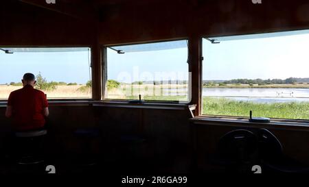 Saxmundham, Suffolk - 9. Juni 2023 : Naturschutzgebiet Minsmere unter Bedrohung durch den Bau von Sizewell C. Ein Mann auf der Insel versteckt sich nur mit Blick auf die Aussicht. Stockfoto