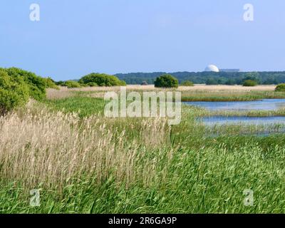 Saxmundham, Suffolk - 9. Juni 2023 : Naturschutzgebiet Minsmere unter Bedrohung durch den Bau von Sizewell C. Ein Blick auf das Kernkraftwerk Sizewell B. Stockfoto