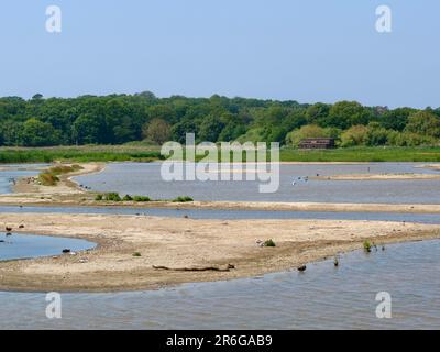 Saxmundham, Suffolk - 9. Juni 2023 : Naturschutzgebiet Minsmere unter Bedrohung durch den Bau von Sizewell C. Blick auf die Sandbank aus dem Osten. Stockfoto