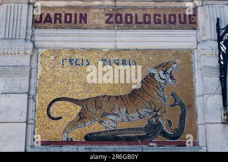 Mosaik eines Tigers am Eingang zum Antwerpener Zoo, Belgien Stockfoto