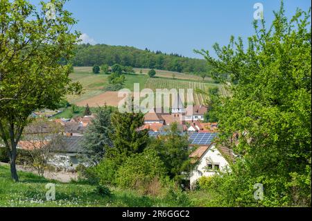 Stadtbild mit Wallfahrtskirche der Jungfrau Maria, Ranschbach, Pfalz, Rheinland-Pfalz, Deutschland, Europa Stockfoto