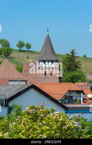 Stadtbild mit Wallfahrtskirche der Jungfrau Maria, Ranschbach, Pfalz, Rheinland-Pfalz, Deutschland, Europa Stockfoto