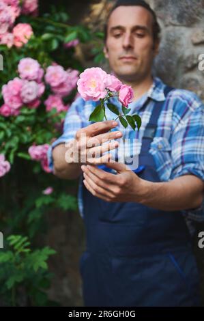 Selektiver Fokus auf einem Strauß rosa Rosen in den Händen eines verschwommenen Gärtners, der die Landschaft eines Herrenhauses erhält Stockfoto