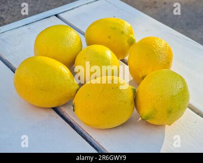 Saftige, reife gelbe Zitronen, grüne Blätter auf hellgrauem Hintergrund. Kreatives Speisekonzept. Tropische organische Frucht Zitrus Vitamin C. Stockfoto