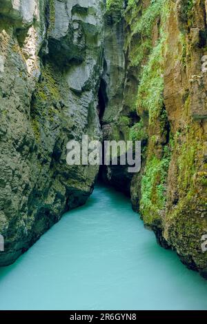 Aare-Schlucht in der Schweiz. Es ist eine malerische alpine Schlucht mit einem blasstürkisblauen Fluss, der durch sie fließt. Stockfoto