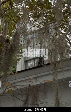 Saint Francisville, USA. 1. Aug. 2009. Die Myrtles-Plantage. Bekannt als eines der gespenstischsten Hotels amerikas. Stockfoto