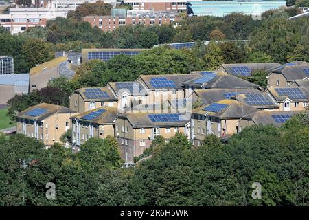 Solarpaneele auf Studentenunterkünften in Paddock Field Halls of Residence, University of Brighton. (Falmer Campus.) Stockfoto