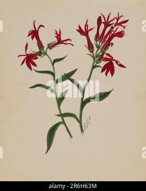 (Unbenannt--Blumenstudie). Datum: 1876. Aquarell auf Papier. Museum: Smithsonian American Art Museum. Stockfoto