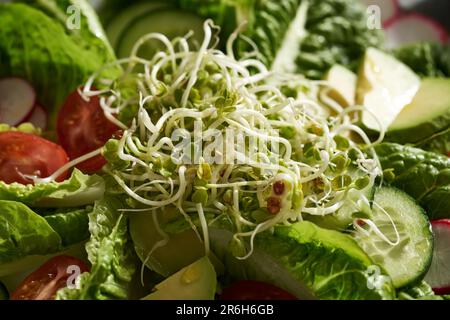 Frische Rettichsprossen oder Mikrogrüner in Gemüsesalat mit Salat, Tomaten und Avocado. Stockfoto