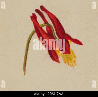 (Unbenannt). Aquarell auf Papier. Datum: Ca. 1874. Museum: Smithsonian American Art Museum. Stockfoto