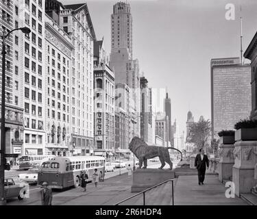 1960S MICHIGAN AVENUE MIT BLICK NACH NORDEN, VORBEI AN SILHOUETTED LION SKULPTUR VOR DEM ART INSTITUTE CHICAGO ILLINOIS USA - Q60345 CPC001 INDIVIDUEN VON HARS INSPIRATION MÄNNER IN DEN VEREINIGTEN STAATEN VON AMERIKA GEBÄUDE SILHOUETTEN TRANSPORT SCHWARZWEISS UMRISS NORDAMERIKA WINKELSTRUKTUR URBANES ZENTRUM ABENTEUEROBJEKT SKULPTUR MOTORFAHRZEUG SILHOUETTED ENTHUSIASMUS OF OPPORTUNITY INSTITUTE VORBEI AN IMMOBILIENSTRUKTUREN STÄDTE GEBÄUDE BLICK AUF DEN NORDEN DIE WINDIGE STADT CHICAGOLAND MIT DEN BUSSEN DES BIG SHOULDERS ART INSTITUTE VERLEIHEN DEM PARK ILLINOIS TRANSIT SCHWARZ UND WEISSES IL Stockfoto