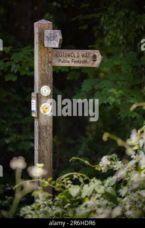 Rustikale hölzerne Schilder auf dem Land, die den Weg zum öffentlichen Fußweg Cotswold Way weisen Stockfoto