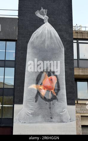 Aberdeen, Großbritannien. 09. Juni 2023. ABERDEEN, SCHOTTLAND – 9. JUNI 2023: Das preisgekrönte und international bekannte Street Art Festival kehrt ab dem 8 -11. Juni 2023 an die Mauern der Granite City zurück. Kredit: Douglas MacKenzie/Alamy Live News Stockfoto