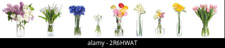 Collage mit vielen schönen Blumen in Glasvasen auf weißem Hintergrund Stockfoto