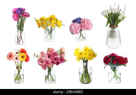 Collage mit vielen schönen Blumen in Glasvasen auf weißem Hintergrund Stockfoto