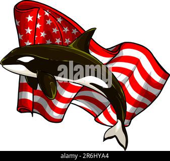 vektordarstellung des Orca-Killerwals mit der us-Flagge auf weißem Hintergrund Stock Vektor