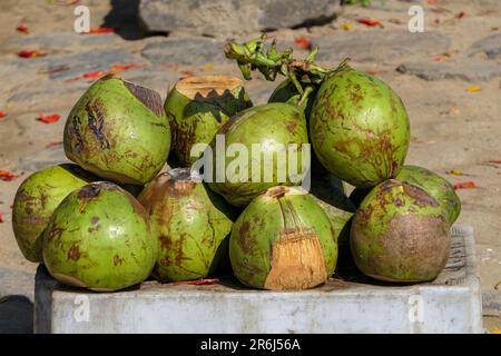 Nahaufnahme frischer grüner Kokosnüsse, die auf einem Markt in der historischen Stadt Paraty, Brasilien, zum Verkauf aufgestapelt sind und zum UNESCO-Weltkulturerbe gehören Stockfoto