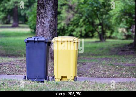 Schwarze und gelbe Mülltonnen auf der Straße. Abfalltrennung, Umweltschutzkonzept. Getrennte Abfallsammlung, Abfallsortierung. Stockfoto