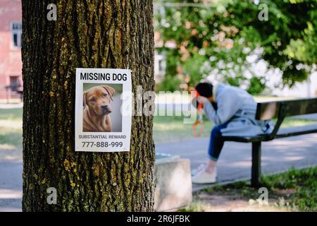 Da ist ein Hinweis auf einen vermissten Hund auf einem Baum. Im Hintergrund trauert ein gebrochener Hundebesitzer, während er auf einer Bank sitzt. Stockfoto