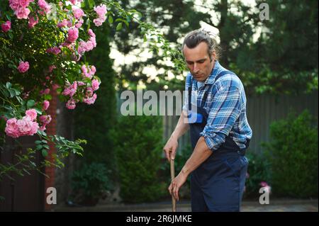 Attraktiver hispanischer professioneller Gärtner, arbeiter, arbeiter in blauer Arbeitskleidung, fegen, harken Blätter im Garten Stockfoto