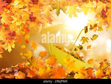 Herbstmagie. Goldene Blätter, die im Freien aus dem gelben Regenschirm fliegen Stockfoto