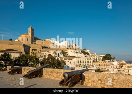KANONEN-KATHEDRALE FESTUNG PROMENADE ALTSTADT IBIZA BALEAREN SPANIEN Stockfoto