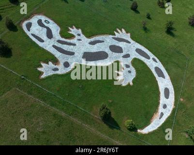 Dekoration in Form eines Feuersalamanders an einem Hang. Es gibt im Aggtelek Karst National Reservat Bereich neben dem Szinpetri Dorf. Stockfoto