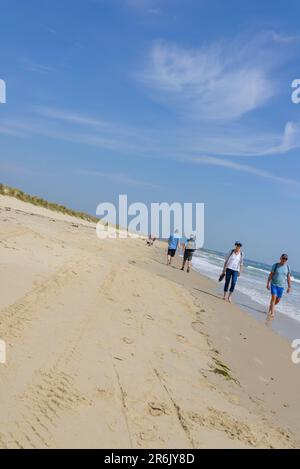 Menschen, die im Sommer unter blauem Himmel am Ufer entlang laufen, Studland Beach, Dorset, Großbritannien Stockfoto