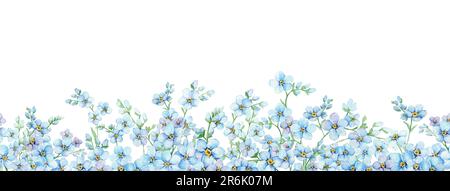 Blauer, nahtloser Rand. Sommerblumen Skorpiongras, Myosotis. Handzeichnung in Aquarellfarben. Endloses Banner für Verpackungen, Textilien Stockfoto