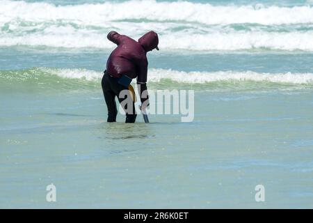 Afrikanischer Fischer oder Mann, der eine Köderpumpe in flachem Meerwasser verwendet Konzept der Fischereitätigkeit und des täglichen Lebens in Südafrika Stockfoto