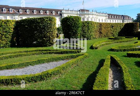 Bluehendes Barock Ludwigsburg, Boxholzgarten, gewöhnliches Boxholz (Buxus sempervirens), Boxholz, Box, hohe Hecke Stockfoto