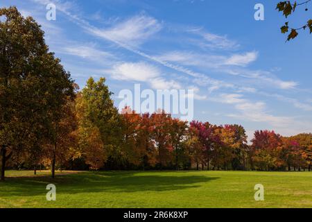 Herbstliche Farbtöne im Parco di Monza Italien Stockfoto