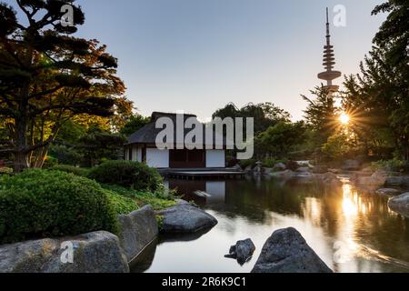 Hamburg, Deutschland: Sonnenuntergang im japanischen Teehaus im Stadtpark „Planten un Blomen“ Stockfoto