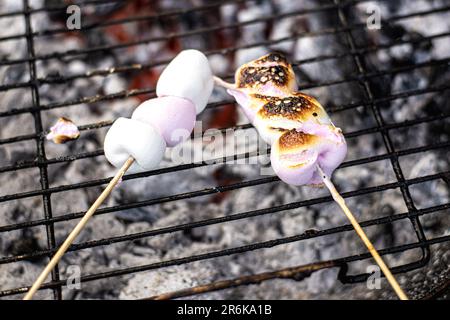 Getoastete Marshmallows auf Holzstäbchen. Köstliche Grillspezialitäten für Kinder. Stockfoto