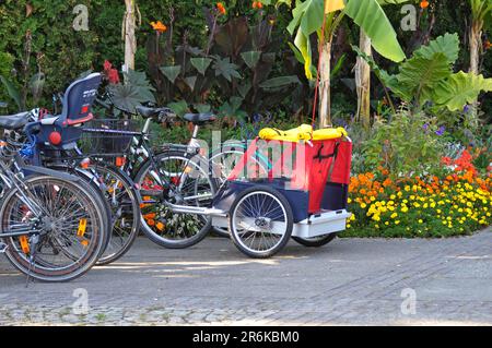 Geparkte Fahrräder, Anhänger für Kinder Stockfoto