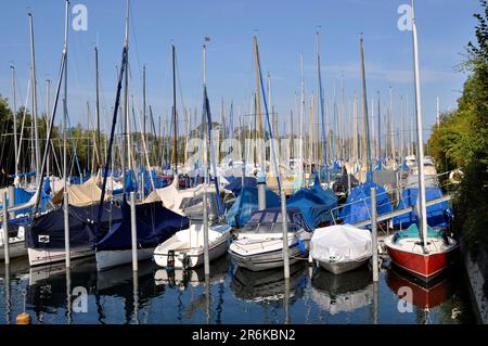 Am Bodensee, Yachthafen in der Nähe von Immenstaad Stockfoto