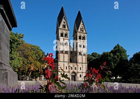 Basilika St. Kastor, Koblenz, Rheinland-Pfalz, Kastorkirche, Deutschland Stockfoto