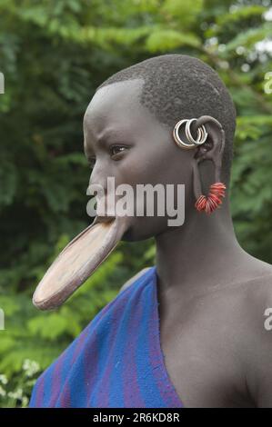 Surma Frau mit Lippenplatte, Surma Leute, Tulgit, Omo Valley, Äthiopien Stockfoto
