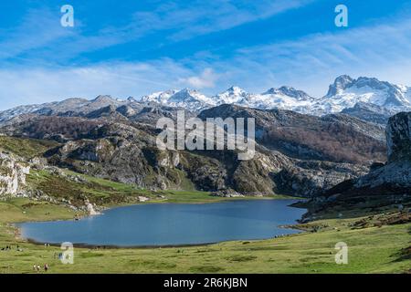 Covadonga See, Picos de Europa Nationalpark, Asturien, Spanien, Europa Stockfoto
